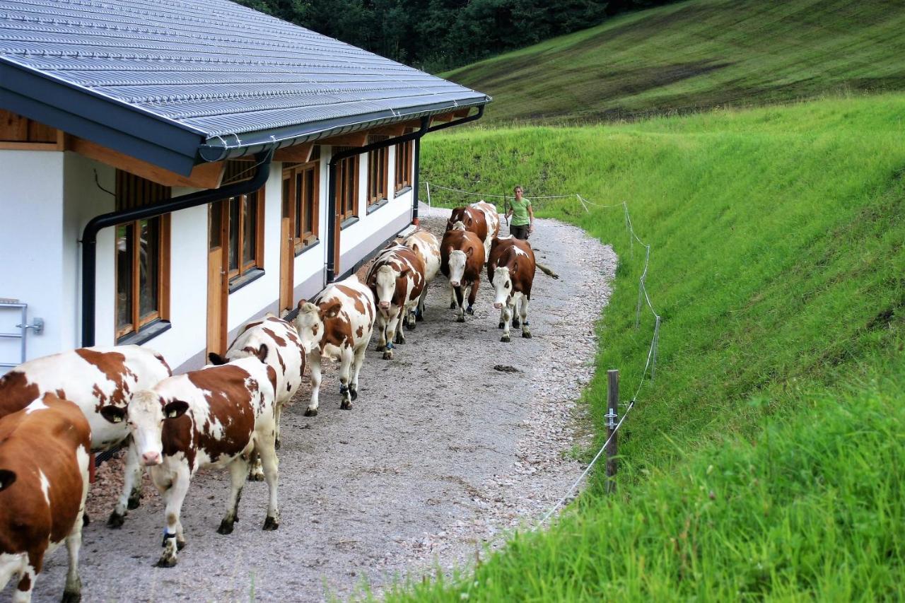 Schartlhof Villa Flachau Buitenkant foto