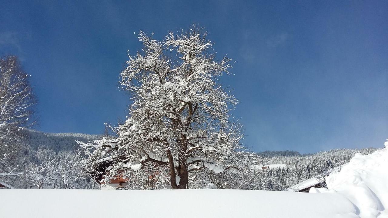 Schartlhof Villa Flachau Buitenkant foto