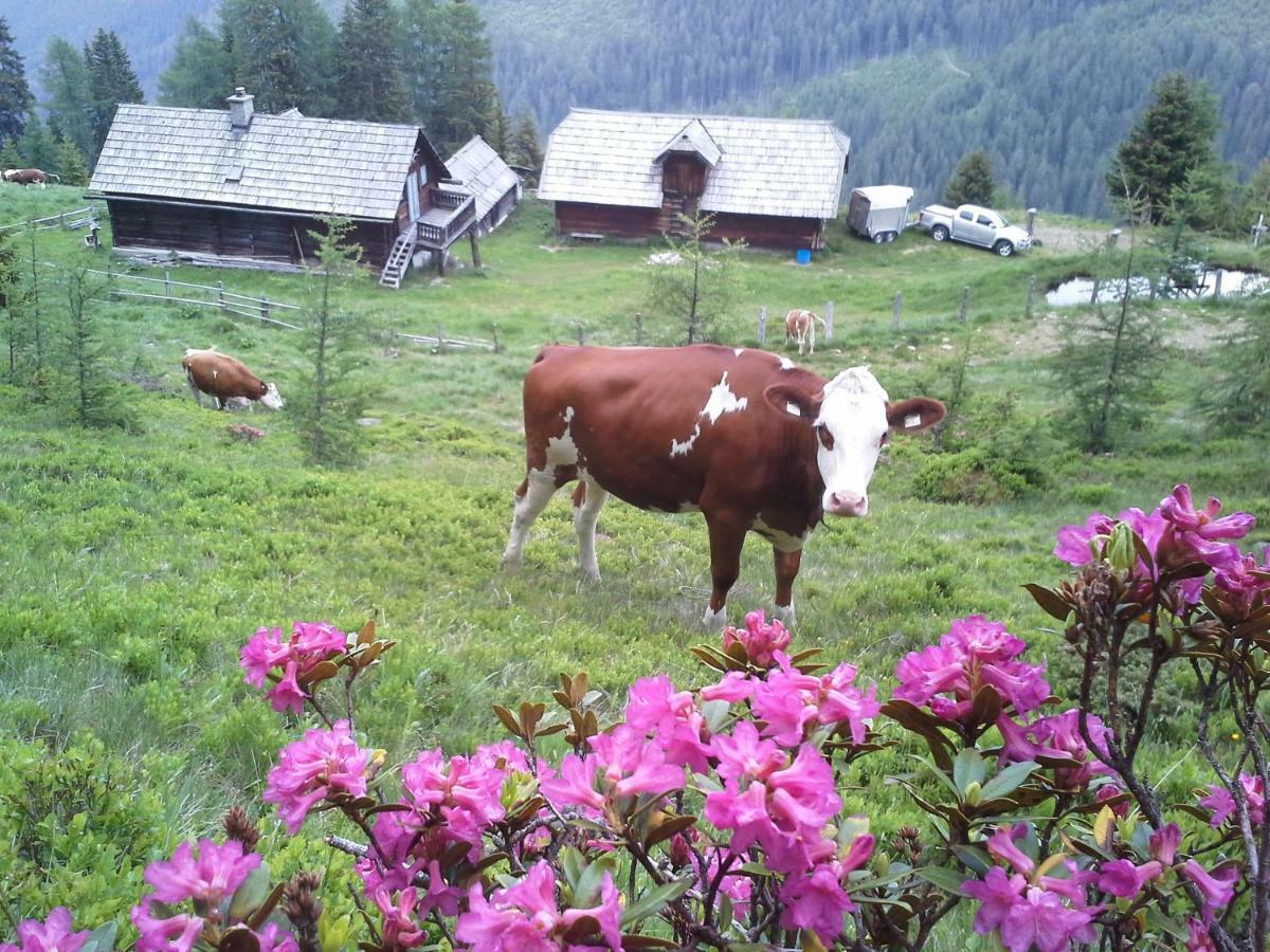 Schartlhof Villa Flachau Buitenkant foto